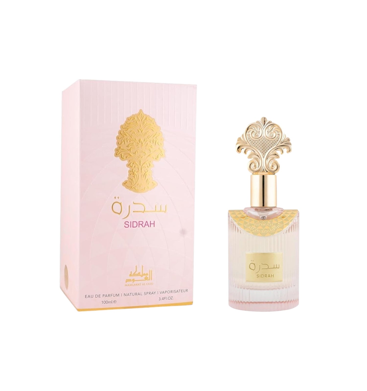 Eau de Parfum SIDRAH Mamlakat Al Oud 100 ML - PDS SHOP